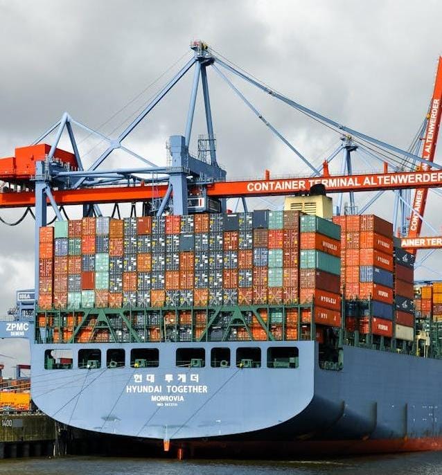 About Timmy Bags shipping